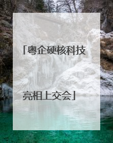粤企硬核科技亮相上交会