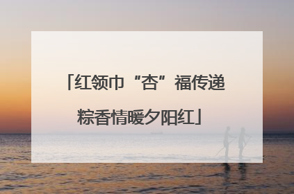 红领巾“杏”福传递 粽香情暖夕阳红