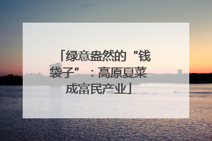 绿意盎然的“钱袋子”：高原夏菜成富民产业