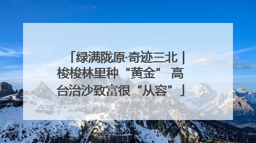 绿满陇原·奇迹三北｜梭梭林里种“黄金” 高台治沙致富很“从容”