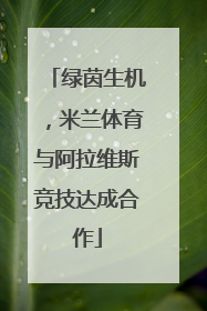 绿茵生机，米兰体育与阿拉维斯竞技达成合作