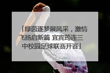 绿茵逐梦展风采，激情飞扬启新篇 宜宾筠连三中校园足球联赛开赛
