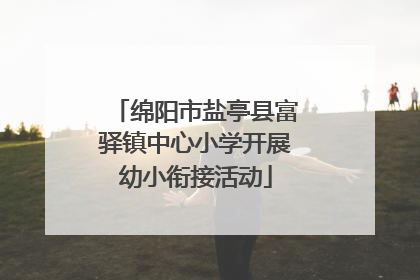 绵阳市盐亭县富驿镇中心小学开展幼小衔接活动