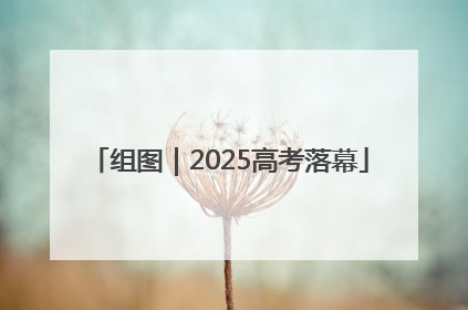 组图｜2025高考落幕