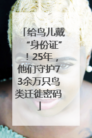 给鸟儿戴“身份证”！25年，他们守护73余万只鸟类迁徙密码