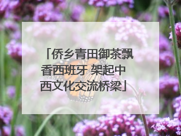 侨乡青田御茶飘香西班牙 架起中西文化交流桥梁