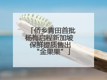 侨乡青田首批杨梅启程新加坡 保鲜提质售出“金果果”