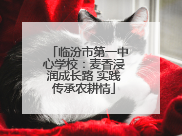 临汾市第一中心学校：麦香浸润成长路 实践传承农耕情