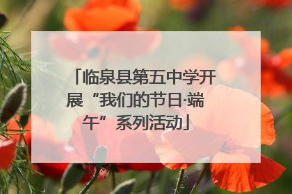 临泉县第五中学开展“我们的节日·端午”系列活动