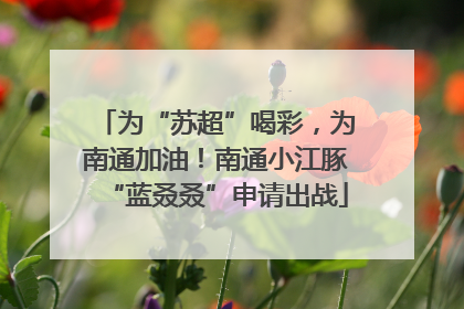 为“苏超”喝彩，为南通加油！南通小江豚“蓝叒叒”申请出战