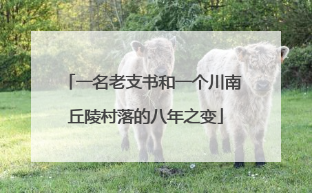 一名老支书和一个川南丘陵村落的八年之变