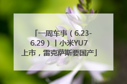 一周车事（6.23-6.29）丨小米YU7上市，雷克萨斯要国产