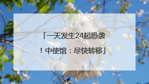 一天发生24起恐袭！中使馆：尽快转移