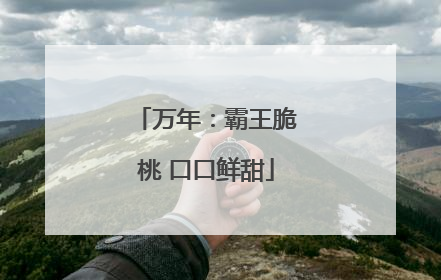 万年：霸王脆桃 口口鲜甜