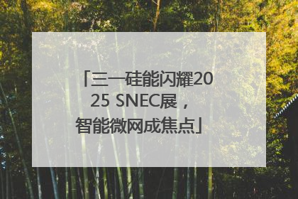 三一硅能闪耀2025 SNEC展，智能微网成焦点