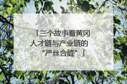 三个故事看黄冈人才链与产业链的“严丝合缝”