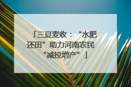 三夏麦收：“水肥还田”助力河南农民“减投增产”