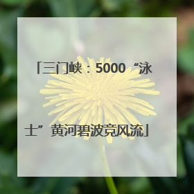 三门峡：5000“泳士”黄河碧波竞风流