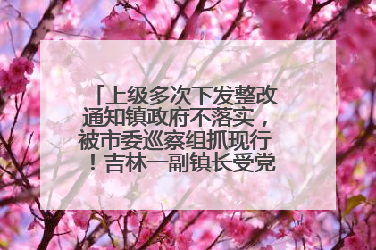 上级多次下发整改通知镇政府不落实，被市委巡察组抓现行！吉林一副镇长受党内警告处分