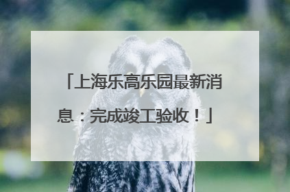 上海乐高乐园最新消息：完成竣工验收！
