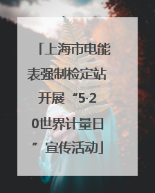 上海市电能表强制检定站开展“5·20世界计量日”宣传活动