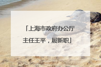 上海市政府办公厅主任王平，履新职