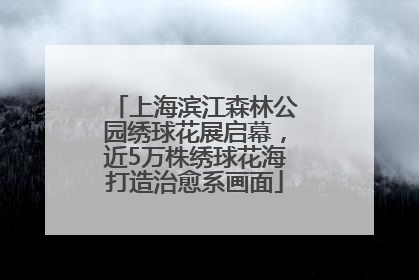 上海滨江森林公园绣球花展启幕，近5万株绣球花海打造治愈系画面