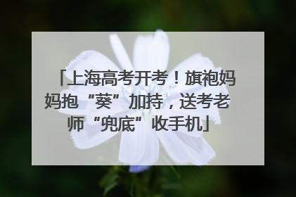 上海高考开考！旗袍妈妈抱“葵”加持，送考老师“兜底”收手机