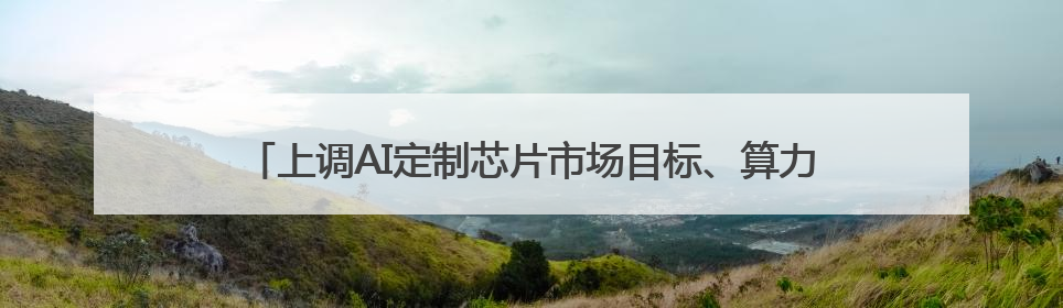 上调AI定制芯片市场目标、算力持续增加，英伟达的对手发起挑战