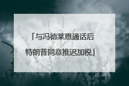 与冯德莱恩通话后 特朗普同意推迟加税