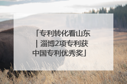 专利转化看山东｜淄博2项专利获中国专利优秀奖