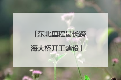 东北里程最长跨海大桥开工建设