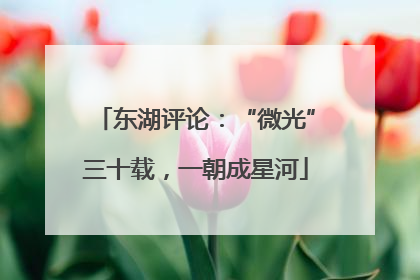 东湖评论：“微光”三十载，一朝成星河