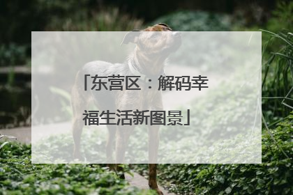 东营区：解码幸福生活新图景
