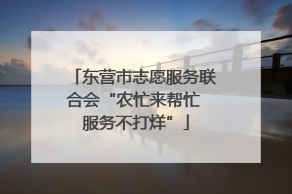 东营市志愿服务联合会“农忙来帮忙 服务不打烊”