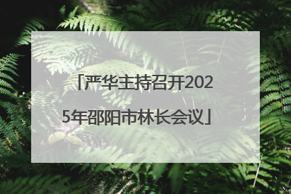 严华主持召开2025年邵阳市林长会议