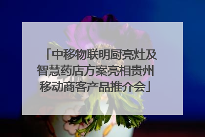 中移物联明厨亮灶及智慧药店方案亮相贵州移动商客产品推介会