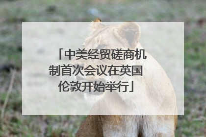 中美经贸磋商机制首次会议在英国伦敦开始举行