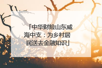 中华财险山东威海中支：为乡村居民送去金融知识
