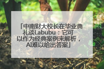 中南财大校长在毕业典礼谈Labubu：它可以作为经典案例来解析，AI难以给出答案