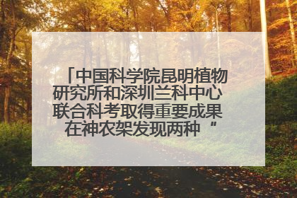 中国科学院昆明植物研究所和深圳兰科中心联合科考取得重要成果 在神农架发现两种“国保”级兰花