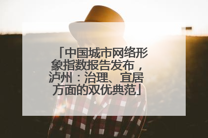 中国城市网络形象指数报告发布，泸州：治理、宜居方面的双优典范