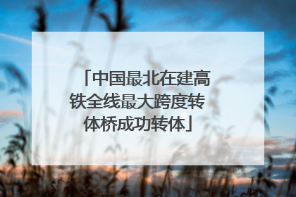 中国最北在建高铁全线最大跨度转体桥成功转体