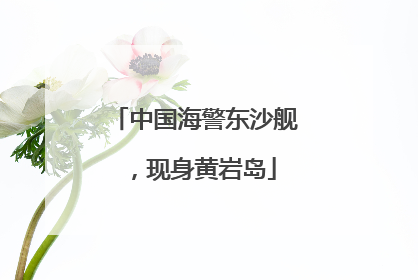中国海警东沙舰，现身黄岩岛
