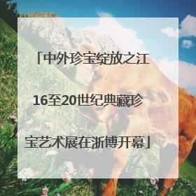 中外珍宝绽放之江 16至20世纪典藏珍宝艺术展在浙博开幕