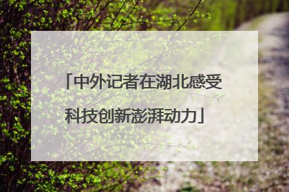 中外记者在湖北感受科技创新澎湃动力