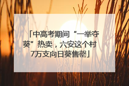 中高考期间“一举夺葵”热卖，六安这个村7万支向日葵售罄