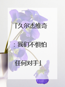 久尔杰维奇：我们不惧怕任何对手