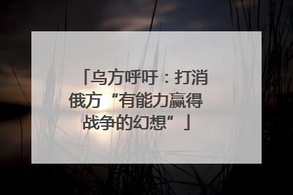 乌方呼吁：打消俄方“有能力赢得战争的幻想”