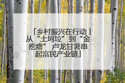 乡村振兴在行动丨从“土坷垃”到“金疙瘩” 卢龙甘薯串起富民产业链